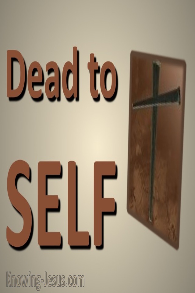 Romans 6:11 Dead to Self (brown)